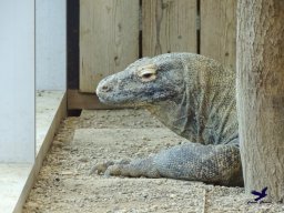 Haus des Meeres 13.03.2026